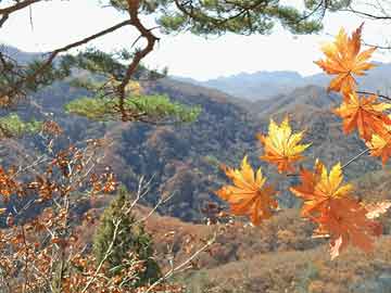 除匈牙利，其余欧盟成员国均坚持继续对乌军援